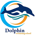 dolphinswim
