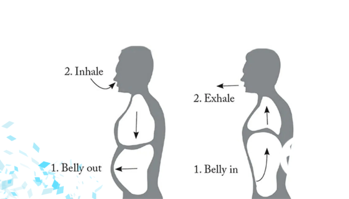 تنفس، هیدرودینامیک