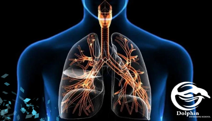 غملکرد ریه ها