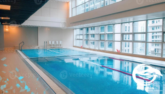 مسیر پیشرفت در دوره آموزشی شنا با دلفین کرج