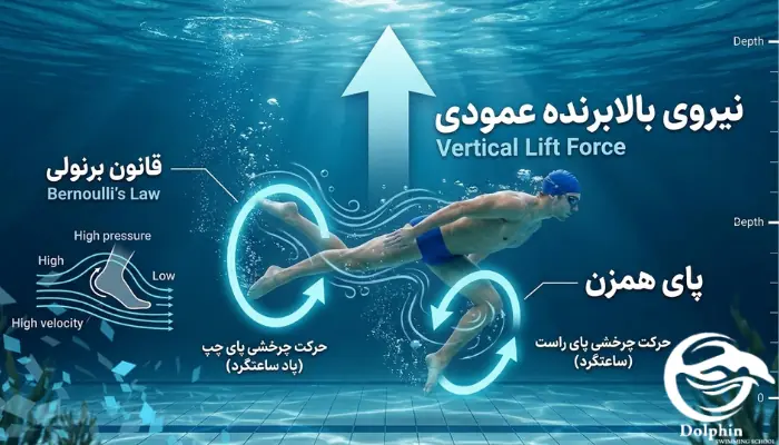 اینفوگرافیک تحلیل فیزیک و جهت حرکت پاهای شناگر در تکنیک پای همزن زیر آب