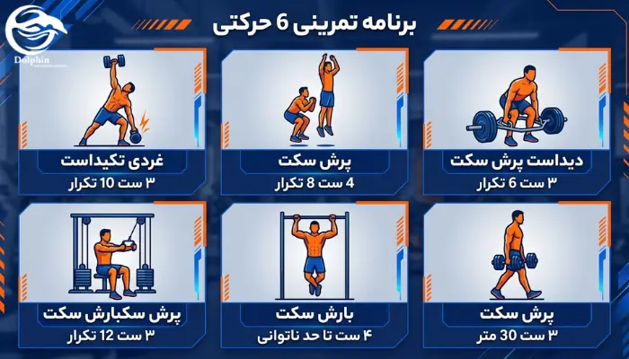 اینفوگرافیک ۶ حرکت طلایی تمرینات بدنسازی برای افزایش سرعت شنا